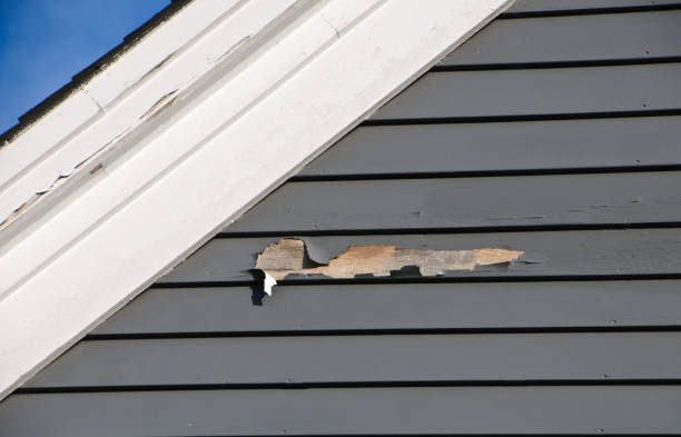 Professional Siding Installation & Repair in Punta Gorda, FL